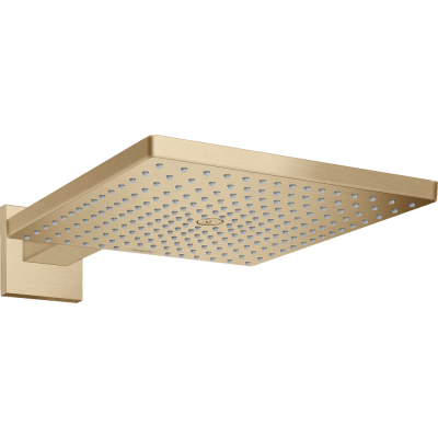 Тропический душ Hansgrohe Raindance E 300 1jet 26238140 с держателем