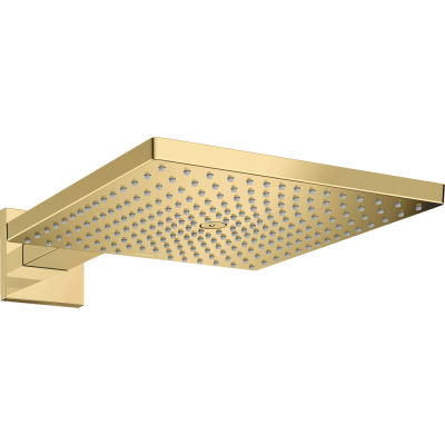 Тропический душ Hansgrohe Raindance E 300 1jet 26238990 с держателем
