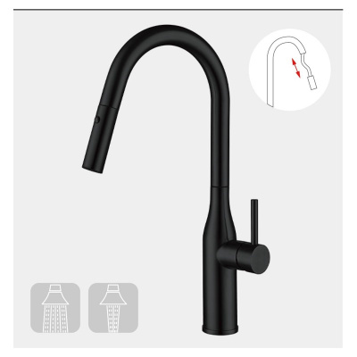 Смеситель с выдвижным изливом Gappo G4398-46
