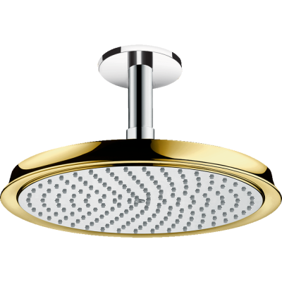 Тропический душ Hansgrohe Raindance Classic 1jet 27405090 с держателем