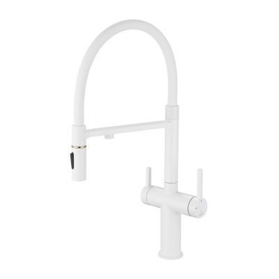 Смеситель для кухни под фильтр с гибким изливом Rose R458C