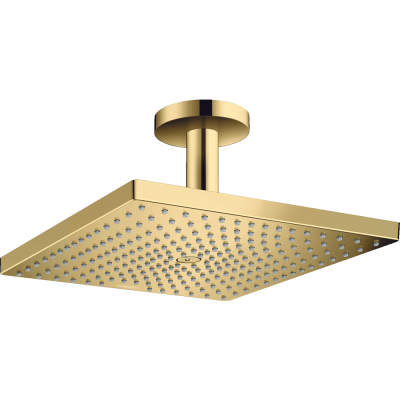 Тропический душ Hansgrohe Raindance E 300 1jet 26250990 с держателем