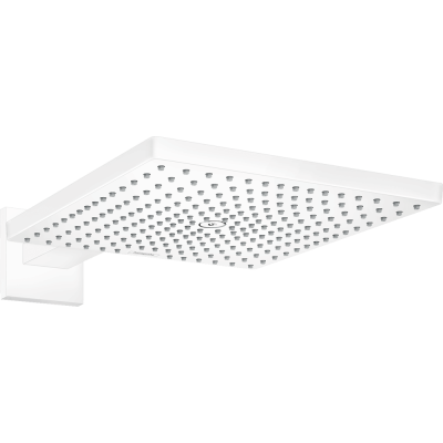 Тропический душ Hansgrohe Raindance E 300 1jet 26238700 с держателем