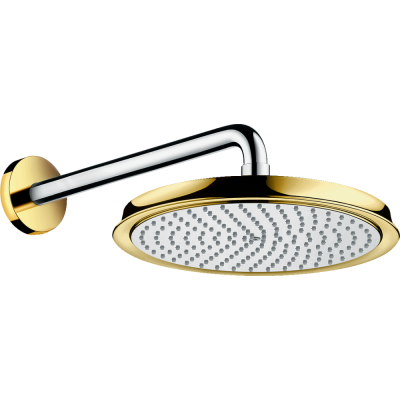 Тропический душ Hansgrohe Raindance Classic 27424090 с держателем