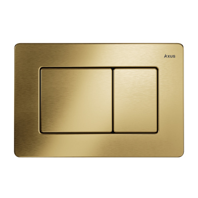Кнопка для инсталляции Axus 097LG Slim металл