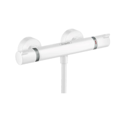 Смеситель термостатический Hansgrohe Ecostat Comfort 13116700