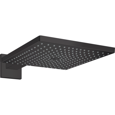 Тропический душ Hansgrohe Raindance E 300 1jet 26238670 с держателем
