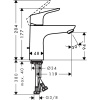 Смеситель Hansgrohe Focus 100 31621000