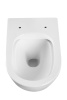 Подвесной унитаз Grado GD-W213R белый