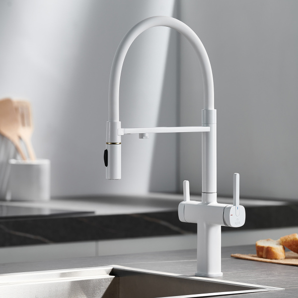 Смеситель для кухни под фильтр с гибким изливом Rose R358C