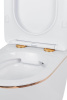 Подвесной унитаз Roxen Antares Gold 530110-01G