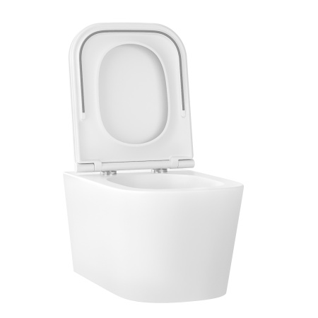 Подвесной унитаз Wellsee Graceful Pro RimFree 182601001