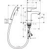 Смеситель Hansgrohe Metris 110 31285000