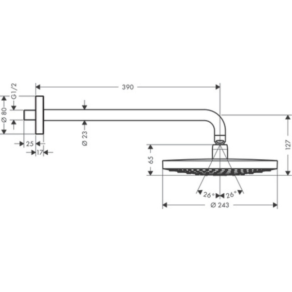 Тропический душ Hansgrohe Raindance Select 2jet 26470000 с держателем