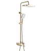 Душевая система Rose R1836G