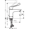 Смеситель Hansgrohe Focus 100 31911000