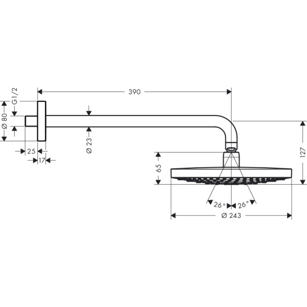 Тропический душ Hansgrohe Raindance Select S240 2jet 26466000 с держателем