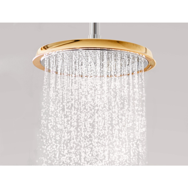 Тропический душ Hansgrohe Raindance Classic 27424090 с держателем
