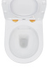Подвесной унитаз Roxen Antares Gold 530110-01G