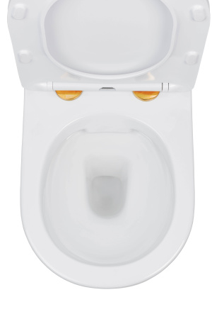 Подвесной унитаз Roxen Antares Gold 530110-01G