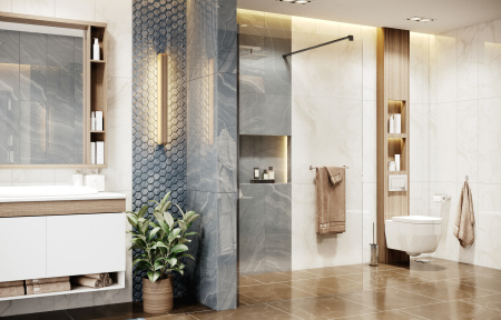 Душевое ограждение Ambassador Walk-in 90х200
