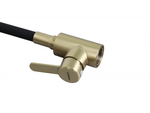 Смеситель для кухни с гибким изливом Wisent W740333Y-2
