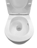 Подвесной унитаз Roxen Vortex 530160-01