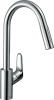 Смеситель Hansgrohe Focus 73895000