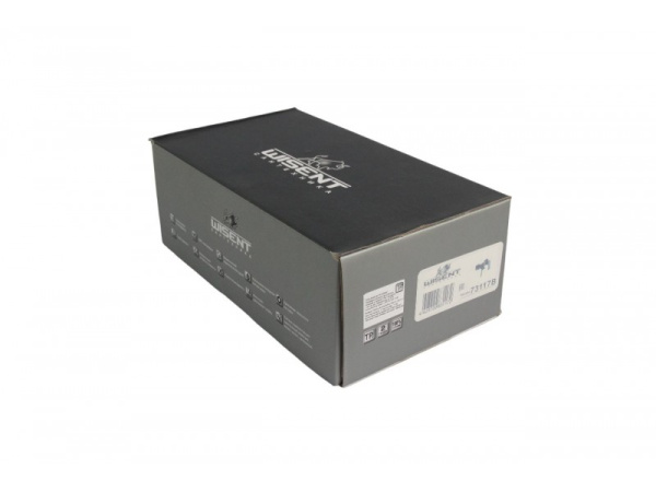 Смеситель для ванны с душем Wisent W73117B Смеситель для ванны с душем Wisent W73117B
