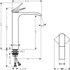 Смеситель Hansgrohe Vivenis 75042670